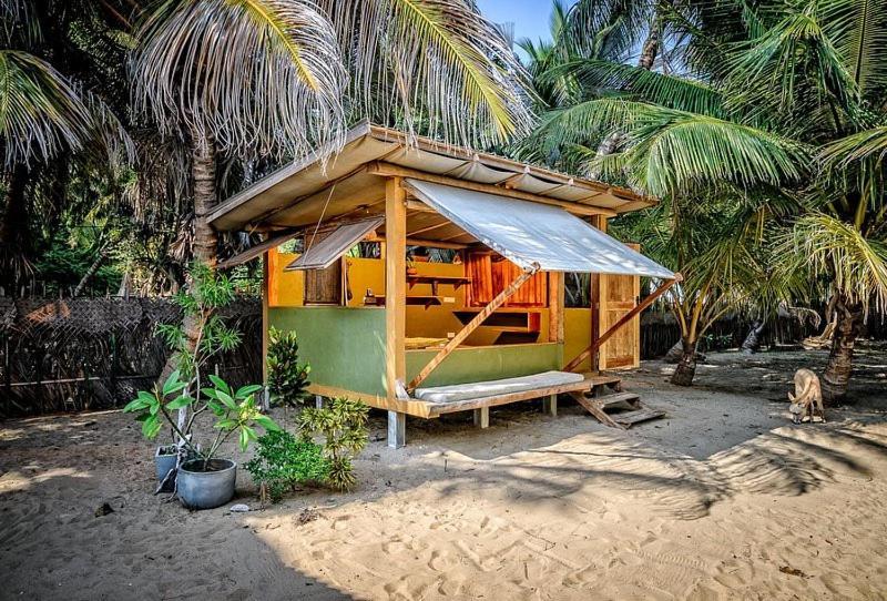 カルピティヤ Kite House Cafe Bed & Breakfast エクステリア 写真