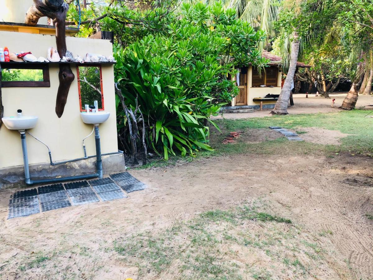 カルピティヤ Kite House Cafe Bed & Breakfast エクステリア 写真
